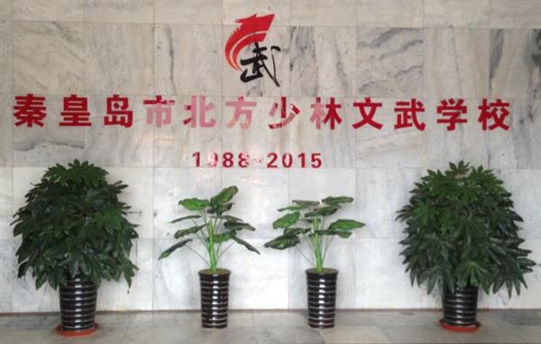 秦皇島北方少林文武學(xué)校就業(yè)如何？這答案你放心！