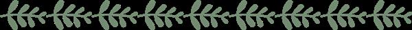 石家莊平安醫(yī)學(xué)中等專業(yè)學(xué)校地址在哪？