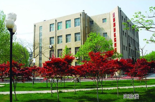 淄博市工業(yè)學(xué)校開設(shè)哪些計算機(jī)課程？