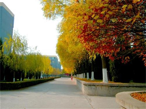 北京現(xiàn)代體育學(xué)院、航空乘務(wù)學(xué)院設(shè)施好嗎？