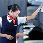 航空服務（票務、安檢方向）、航空乘務定向委培
